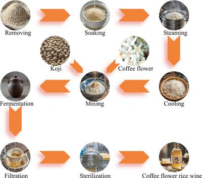 Interaction and dynamic changes of microbial communities and volatile flavor compounds during the fermentation process of coffee flower rice wine